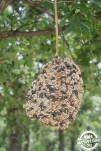 fall crafts for kids bird feeder